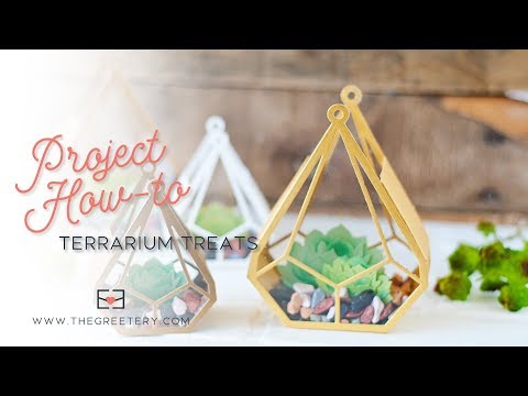 Project How-to: Terrarium Treat Boxes