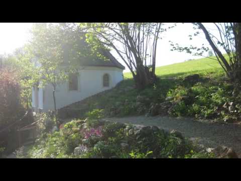 Kathi Stimmer-Salzeder - Frieden wünsch' ich dir