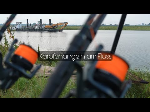 Karpfenangeln am Fluss / Fange ich den langersehnten Havel-Karpfen ?