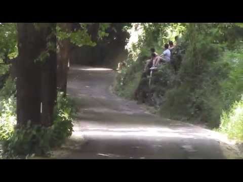 33° Rally degli Abeti e dell'Abetone 2015 (PS5)