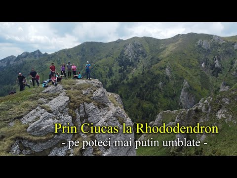 Deasupra Ciucasului cu rododendron. Pe poteci cu Ioan - Ep 20