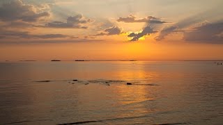 Kisu - Kun paljon antaa