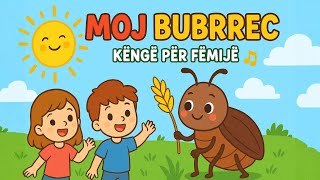 Albvibes-Al - Moj Bubrrec