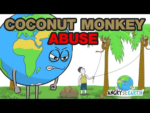 ANGRY EARTH - Episode 18: "Coconut Monkey Abuse"