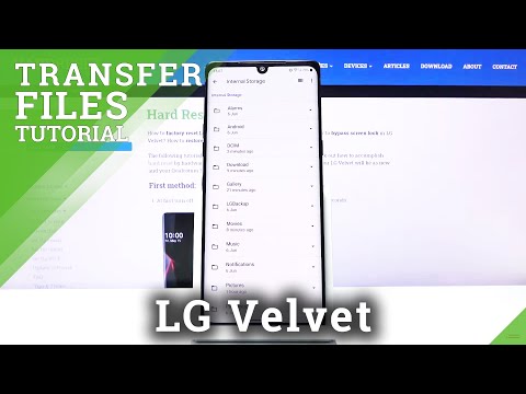 How to Transfer Files in LG Velvet – Relocate Files