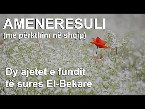 Ameneresuli | Dy ajetet e fundit të sures El-Bekare (me përkthim në shqip) - Salih El Kurajshi