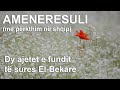 Ameneresuli | Dy ajetet e fundit të sures El-Bekare (me përkthim në shqip) - Salih El Kurajshi