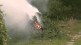 Black Moth Super Rainbow - The Sad Branch