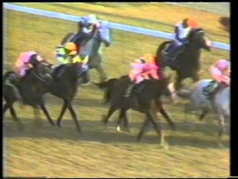 1986 Japan Cup