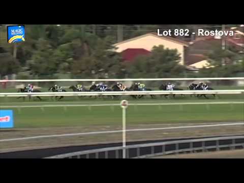 Lot 882 - Rostova (AUS)