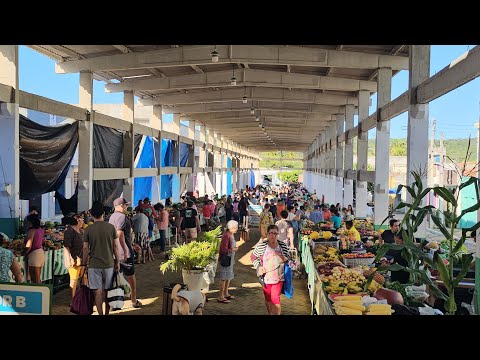 Feira livre de Itapetim PE em 11-06-26