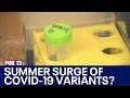 New COVID-19 variant could cause summer surge | FOX 13 Seattle