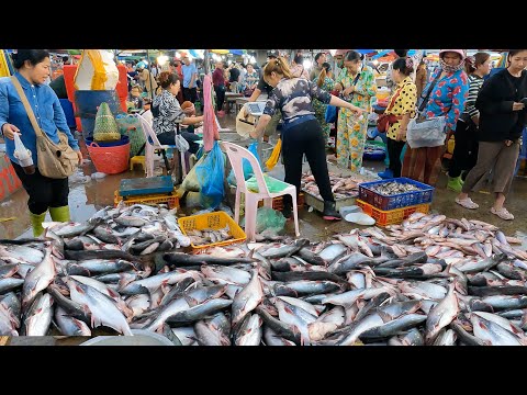 Amazing Cambodia Fish Market | Phnom Penh Wet Market at Dawn - Cambodia Fish Market
