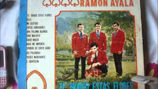 vino maldito los bravos del norte de Ramón ayala