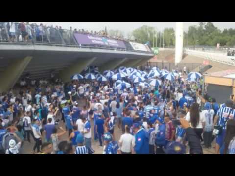 "Canción Nueva Del Tomba ðŸŽµ Voy Para El Gambarte Yo Soy Bodeguero  ðŸŽµ" Barra: La Banda del Expreso • Club: Godoy Cruz