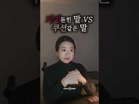비디오 13