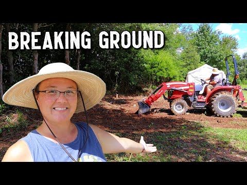 Clearing Land for a BIG PROJECT
