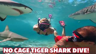 We Dived with Tiger Sharks! (Terrifying Experience)