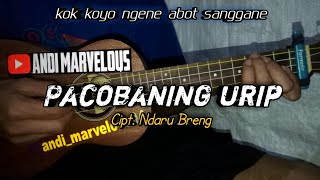 Download lagu PACOBANING URIP - Cipt. NDARU BRENG || Cover Ukulele Senar 4 By Andi Marvelous mp3