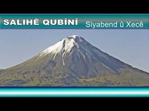 Dengbêj Salihê Qubînî - Siyabend û Xecê