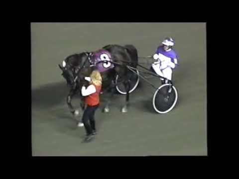 2001 Meadowlands CATHEDRA DOT COM David Miller Mistletoe Shalee Elimination