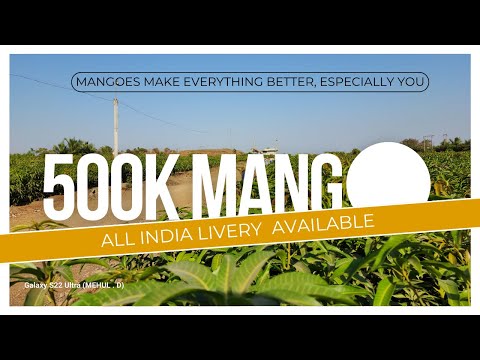 How Indian Farmers Produce 500 K Mango plants