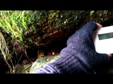 Sancreed Holy Well, a very pleasant site indeed