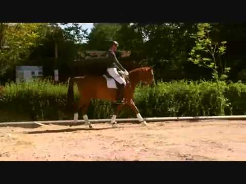 Fidertanz   Donnerhall