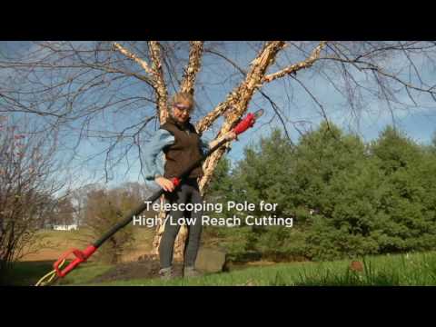 Sun Joe Electric 10" Multi-Angle Telescopic Pole Chainsaw on QVC