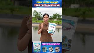 Men Tăng Trưởng Thuỷ Sản - Max 68 | Dùng cho Tôm - Cá - Ếch - Lươn