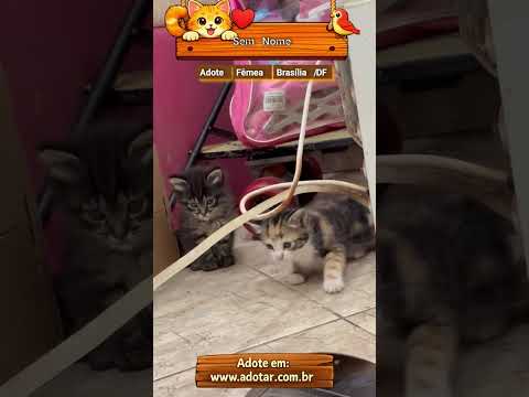 Vídeo de Sem Nome