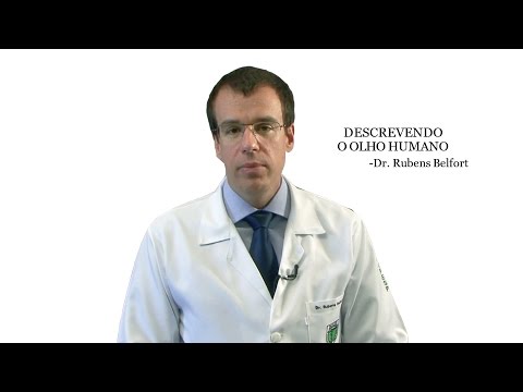 Quais são as partes que compõe o olho humano?