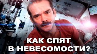 Смотреть онлайн Ответ на вопрос Как спят в космосе