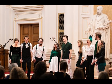 Avocalo - Honeybee (A Cappella)