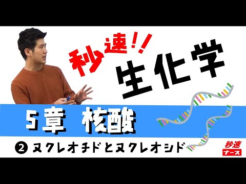 看護学科 【秒速ナース】5-2 ヌクレオチドとヌクレオシド【生化学-授業動画】