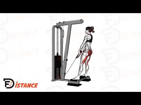 Exercice Deadlifts à la poulie