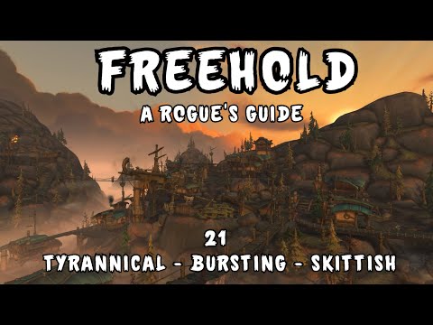 Freehold (21) Guide - Rogue Dungeon Walkthrough