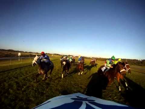 CRYSTAL GLITTER   Computer