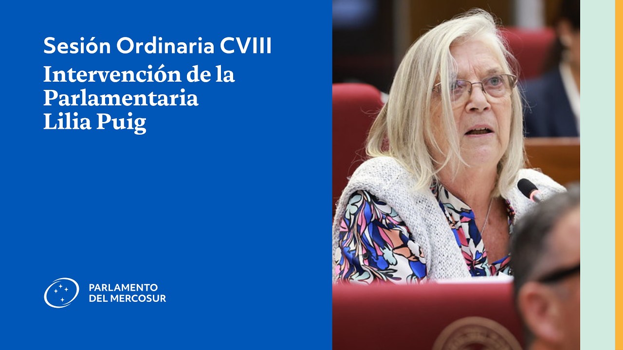 Intervención  de la Parlamentaria Lilia Puig - Sesión Ordinaria CVIII