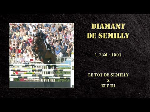 DIAMANT DE SEMILLY