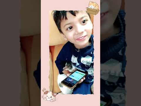 mizan  cat😘😘😘😂😂❤️