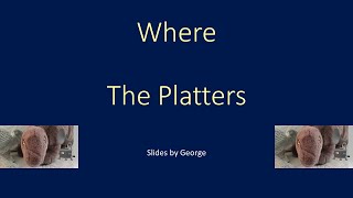 The Platters   Where  karaoke