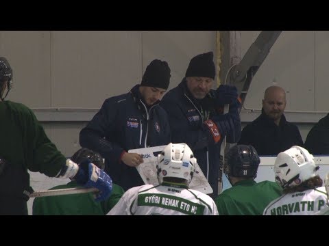 Svéd edzés Győrben