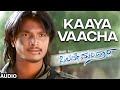 Kaaya Vaacha Audio Song Olave Mandara Kannada Movie Srikanth Aakanksha Mansukhani Deva