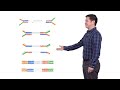 Next Generation Sequencing 2 Illumina NGS Sample Preparation Eric Chow UCSF
