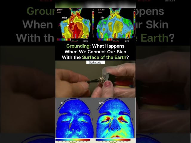 What Happens When You Ground?