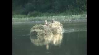 Go by boat on the  Dniester river Tips  (Ukraine) . Перший сплав Дністром