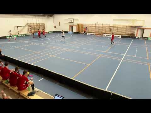 Dunai Krokodilok SE - Phoenix Fireball FSE - SALMING OB1