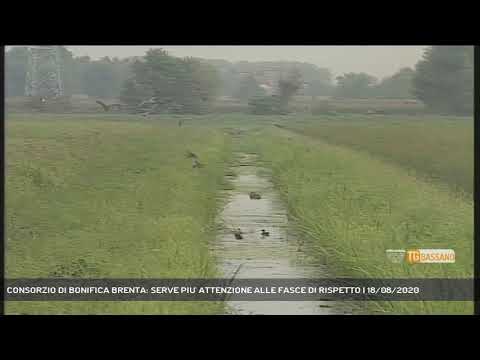 CONSORZIO DI BONIFICA BRENTA: SERVE PIU' ATTENZIONE ALLE FASCE DI RISPETTO | 18/08/2020