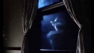 Wild Boys (aka: To Make A Killing, Vicious - 1988) - Trailer